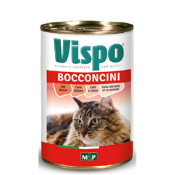 bocconcini gatto