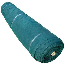 telo olive antispine