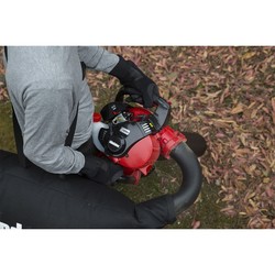 ebs256s