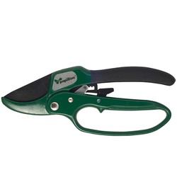 forbice cricco papillon